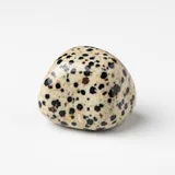 Dalmatian Jasper bead example