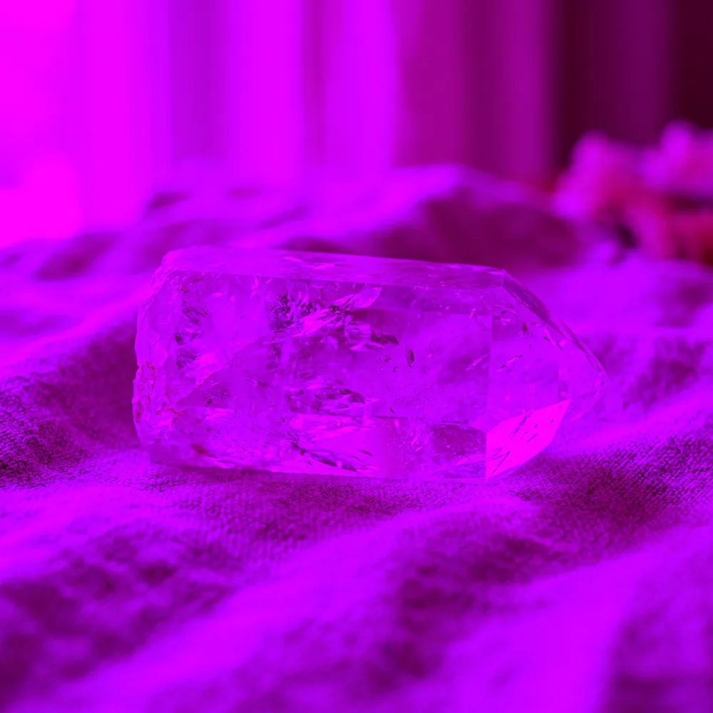 Ruby in Zoisite (Anyolite)